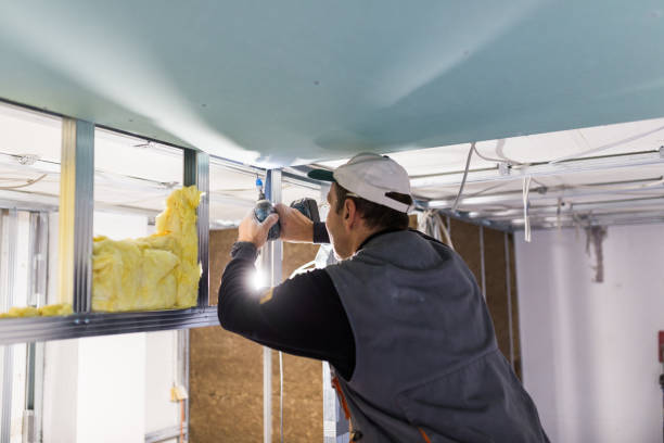 Best Specialized Insulation Services in North St Paul, MN