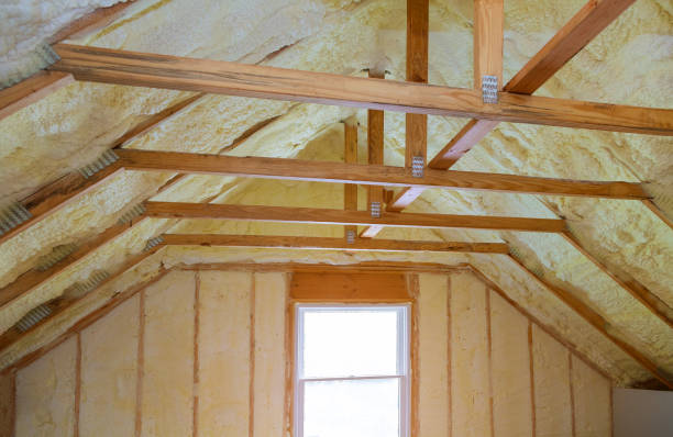 Best Cellulose Insulation in North St Paul, MN